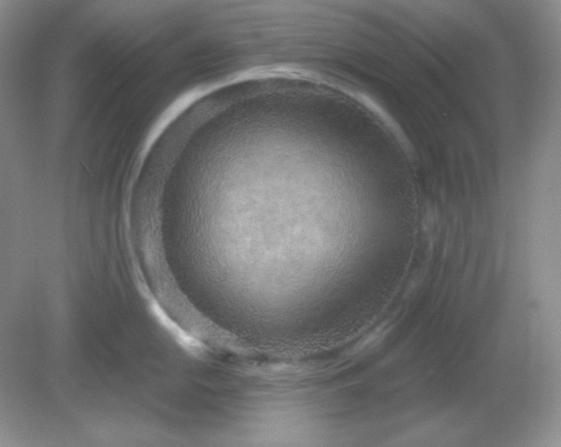 X0000081601054200701291356