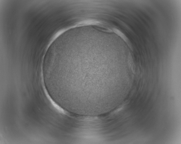 X0000081601055200701291356