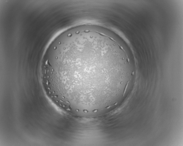 X0000081601056200701291356