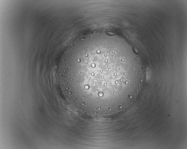 X0000081601059200701291355