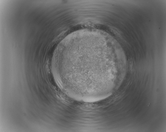 X0000081601060200701291355