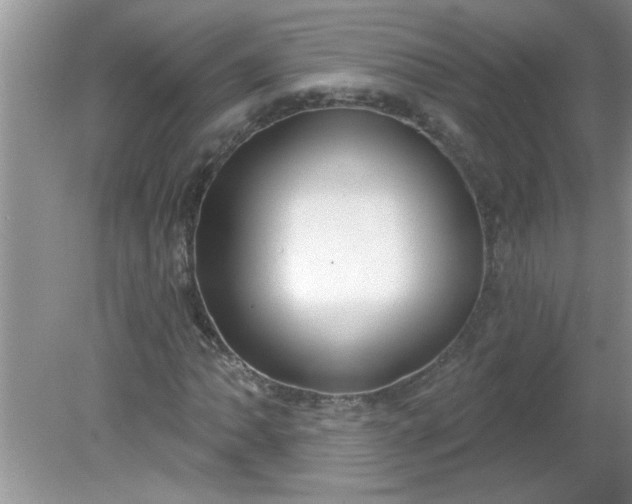 X0000081601062200701291355