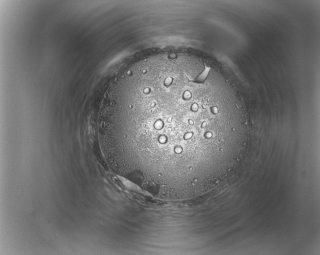 X0000081601063200701291355