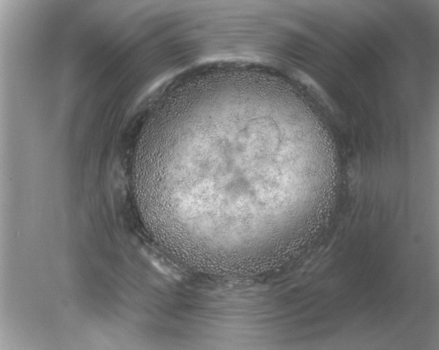 X0000081601064200701291355