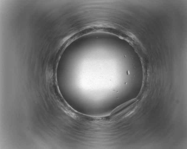 X0000081601065200701291355