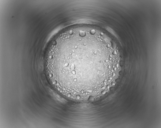 X0000081601067200701291355