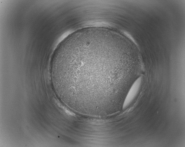 X0000081601071200701291355