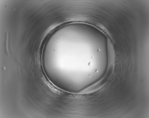 X0000081601072200701291355