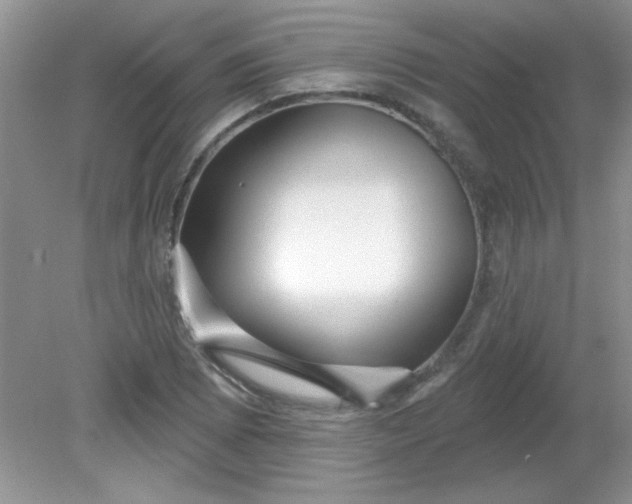 X0000081601073200701291355