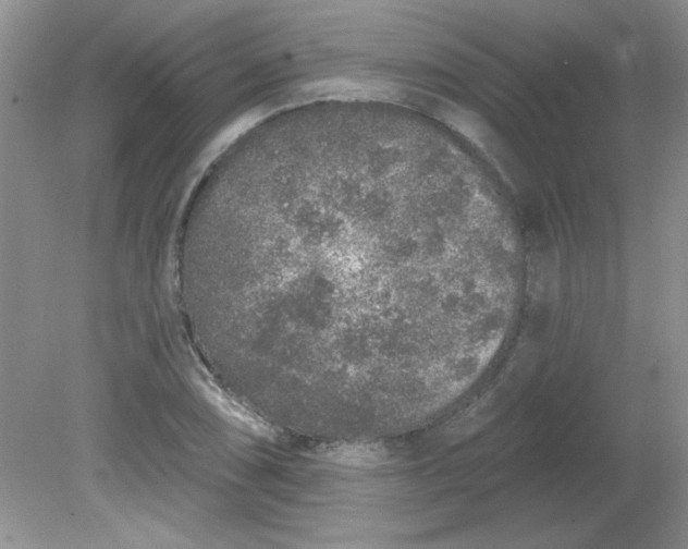 X0000081601074200701291355