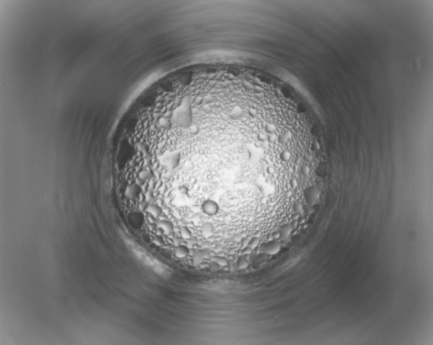 X0000081601075200701291355