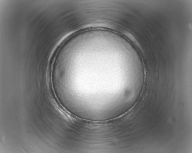 X0000081601076200701291355