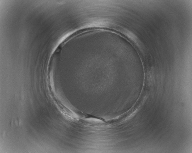 X0000081601077200701291355