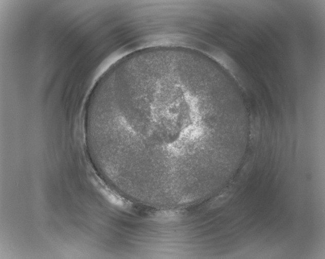 X0000081601078200701291355