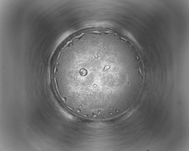 X0000081601079200701291355