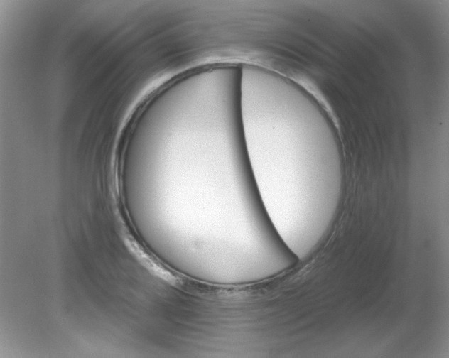 X0000081601080200701291355