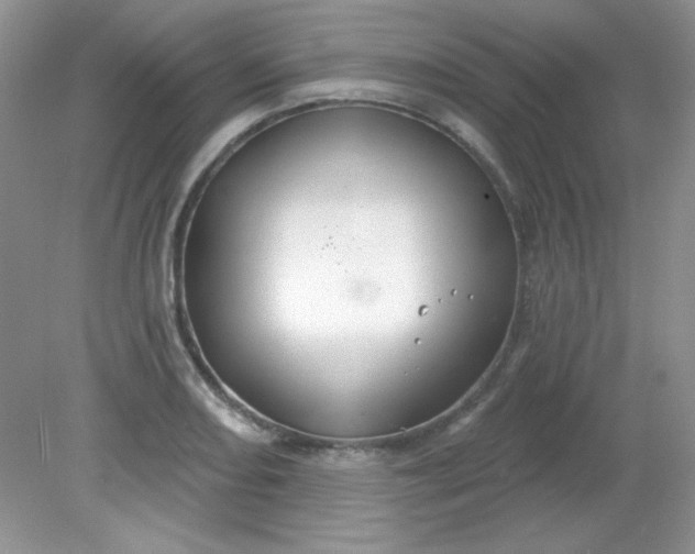 X0000081601082200701291355