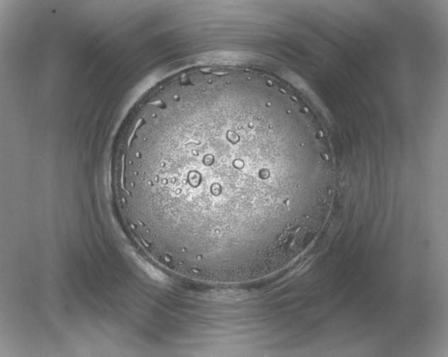 X0000081601083200701291355