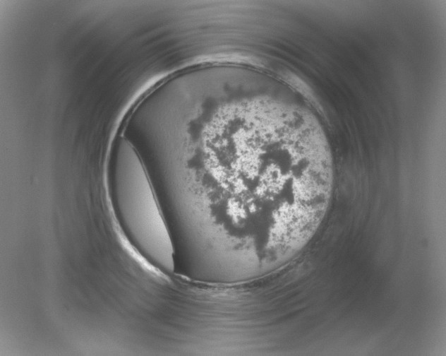 X0000081601084200701291355