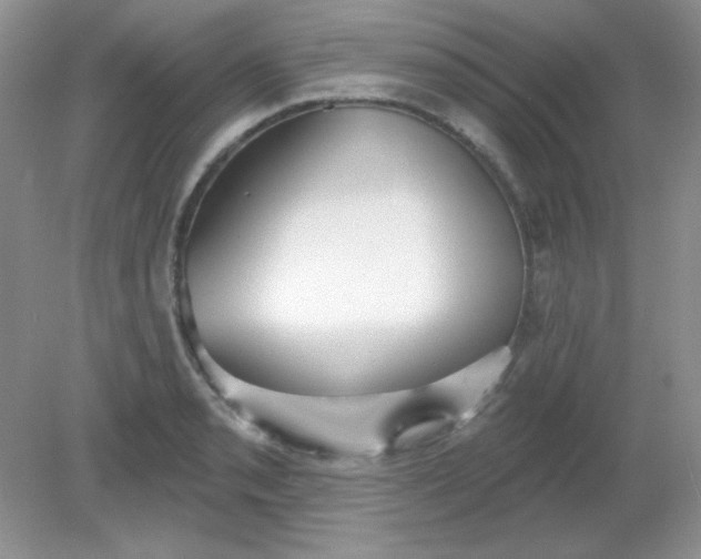 X0000081601085200701291355