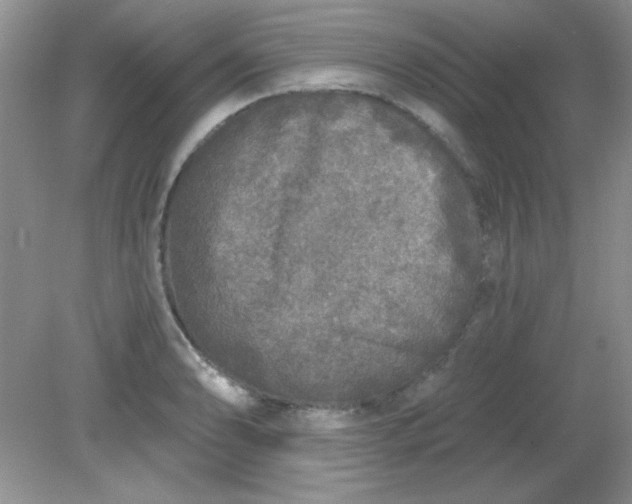 X0000081601086200701291355