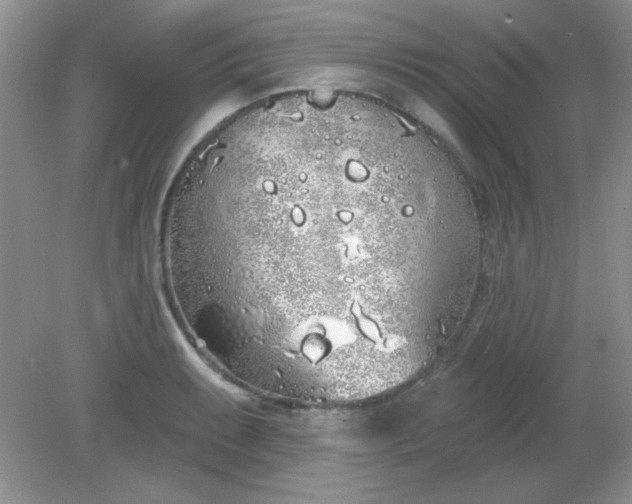 X0000081601087200701291355