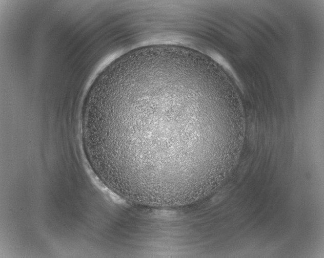 X0000081601088200701291355