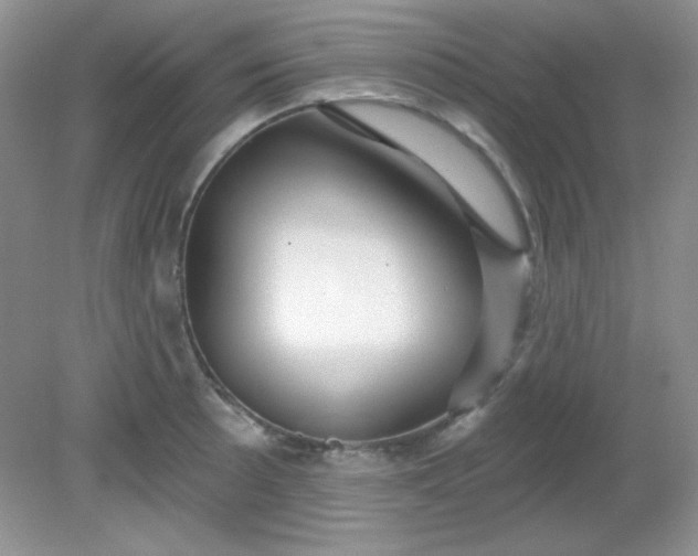 X0000081601089200701291355