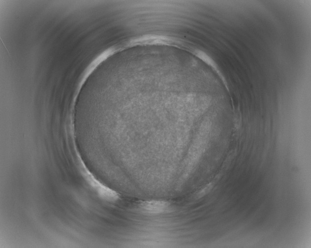 X0000081601090200701291355