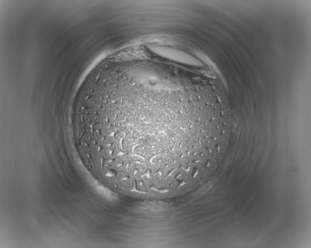 X0000081601091200701291355