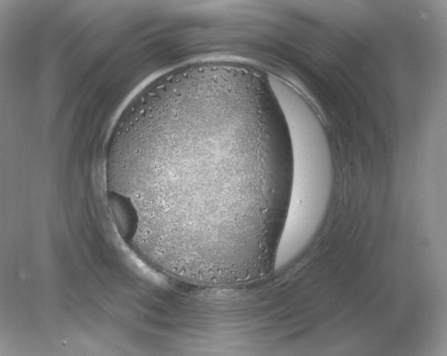 X0000081601092200701291355