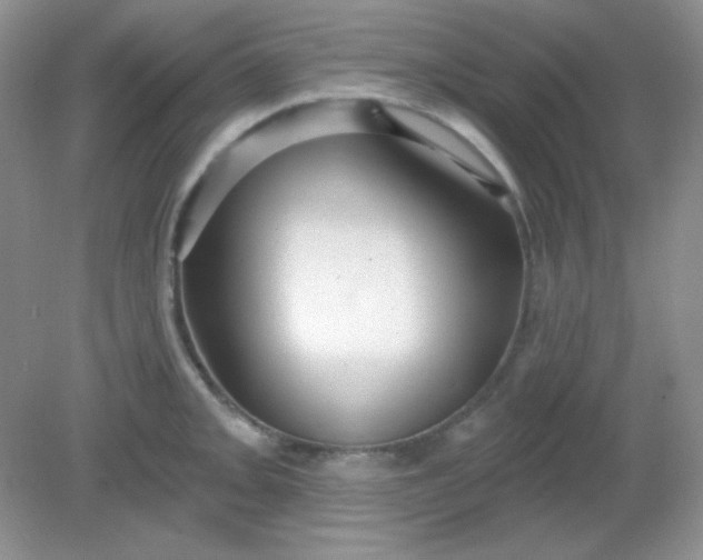 X0000081601093200701291355