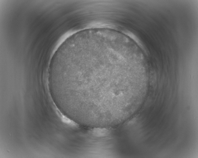 X0000081601094200701291355