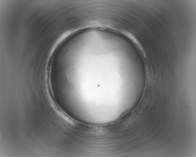 X0000081601096200701291355