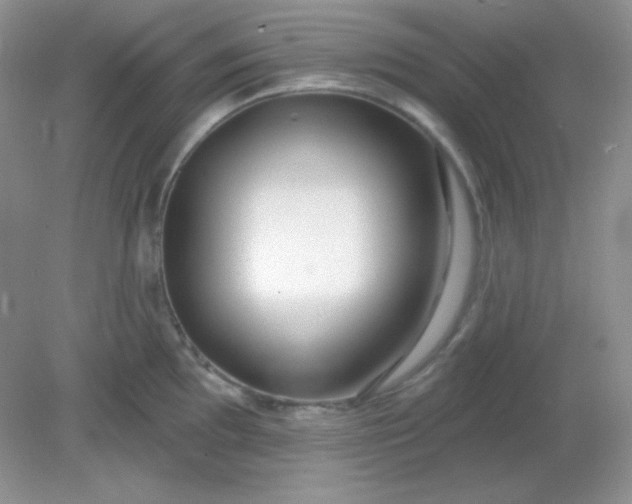 X0000081601097200701291355