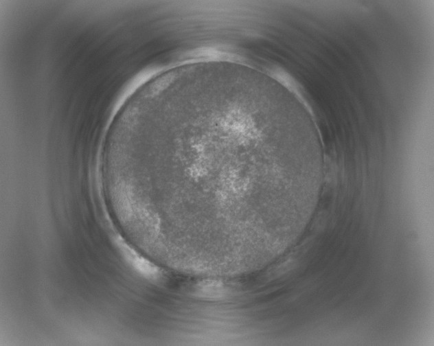 X0000081601098200701291355