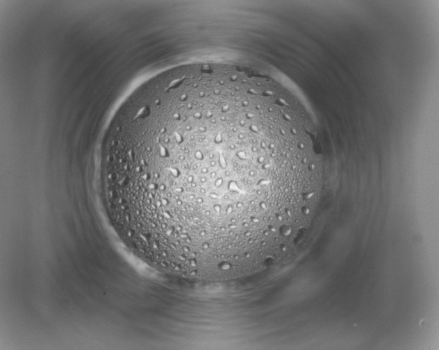 X0000081601099200701291355