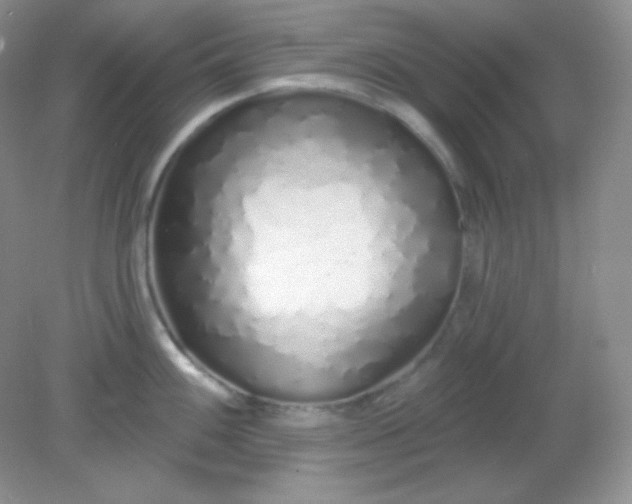 X0000081601100200701291355