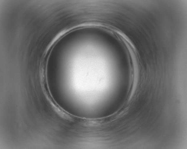 X0000081601101200701291355