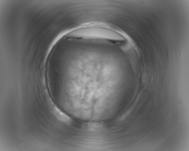 X0000081601102200701291355