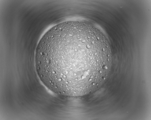 X0000081601103200701291355