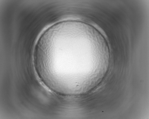 X0000081601104200701291355