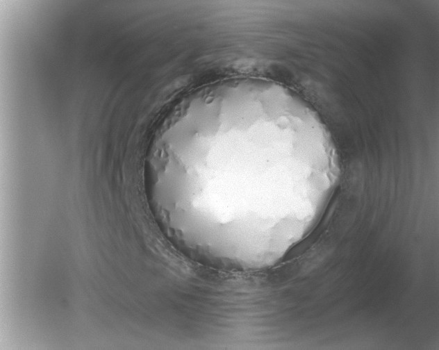 X0000081601105200701291354