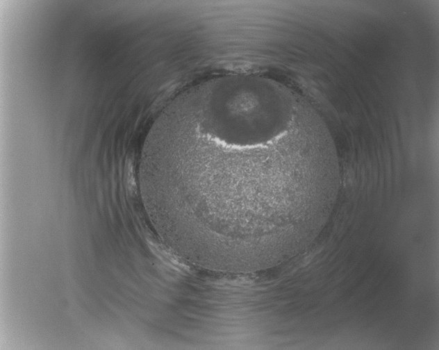 X0000081601106200701291354