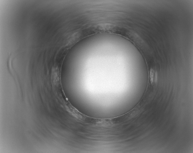 X0000081601107200701291354