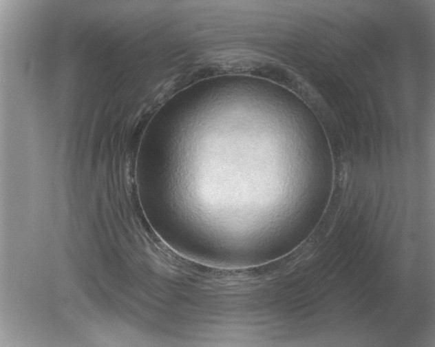 X0000081601108200701291354