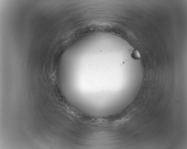 X0000081601109200701291354