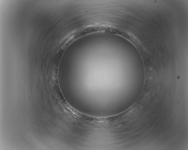 X0000081601110200701291354