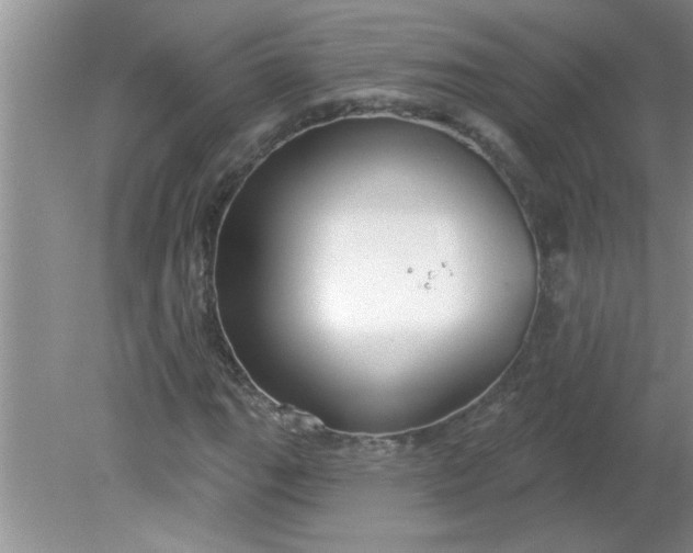 X0000081601111200701291354