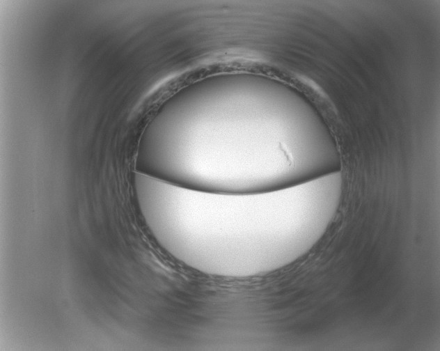 X0000081601112200701291354